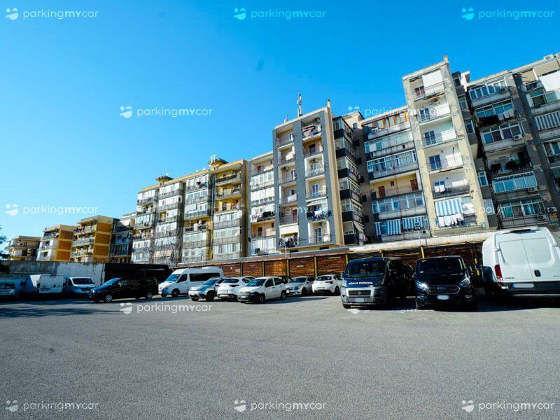 Koala Parking - Porto Bar Auto parcheggiate Koala Parking - Porto Bar