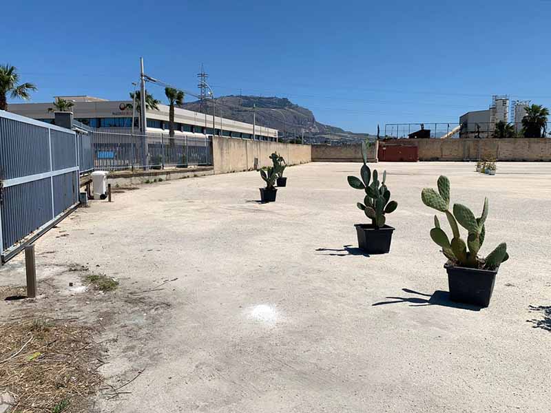 King Parking - Aeroporto Trapani Piazzale King Parking - Aeroporto Trapani